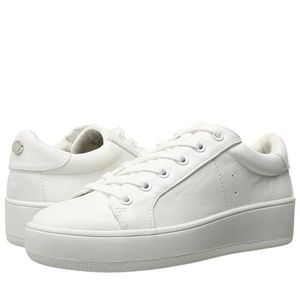 STEVE MADDEN Bertie sneaker